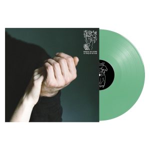 Birds In Row - We Already Lost The World - Mint Vinyl Album (DE Link)