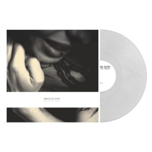 Birds In Row - You, Me & The Violence - Cloudy Clear Vinyl (DE Link)