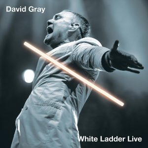 David Gray - White Ladder Live - Vinyl UK Link