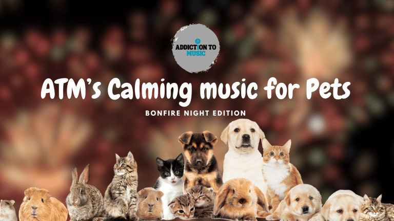 The Ultimate Playlist: Top Songs to Keep Your Pets Calm During Bonfire Night